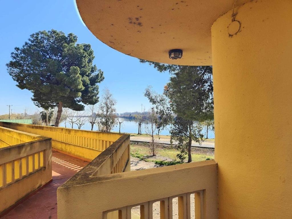 Superbe Appartement Terrasse Entierement Renove Au Bord De L'Ebre Deltebre Buitenkant foto